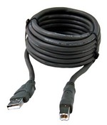 Bird Electronic Corporation 5A2653-10 Cable, USB 10ft High Speed