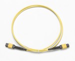 Fluke Networks 4417796 2M SM TRC, MPOAPC/MPOAPC, PINNED/PINNED, TYPE A