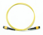 Fluke Networks 4418032 2M SM TRC, MPOAPC/MPOAPC, UNPINNED/PINNED, TYPE A