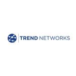 TREND Networks North America R163058 LT IV-Cat6 / Class E Patch Cord / MPTL Test Adapter (Single)